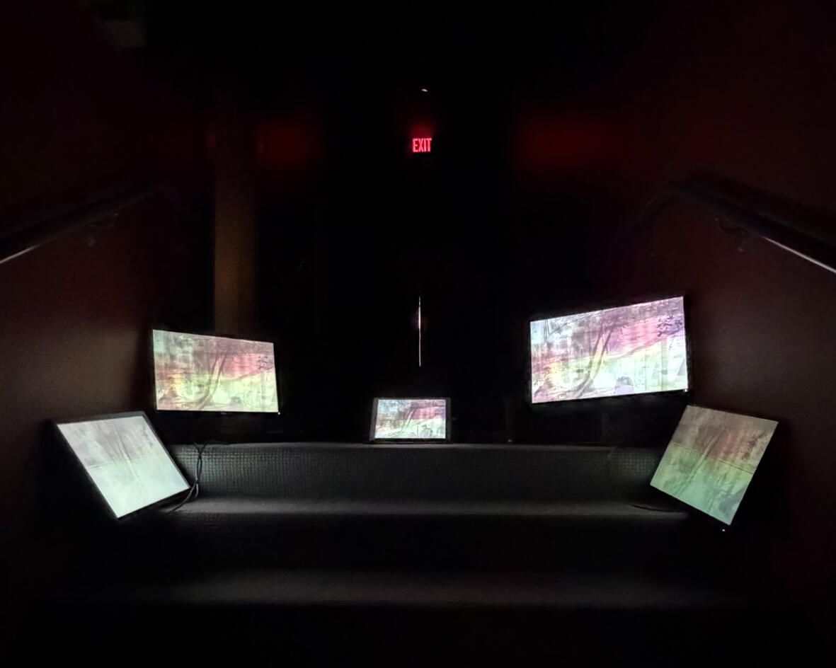 digital sanctuaries